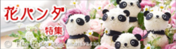 フラワーメッセージお花屋さん／キャラクターフラワーギフトの店-04-28-2025_12_01_PM