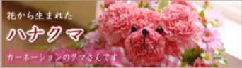 フラワーメッセージお花屋さん／キャラクターフラワーギフトの店-04-28-2025_12_06_PM