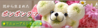 フラワーメッセージお花屋さん／キャラクターフラワーギフトの店-04-28-2025_12_08_PM