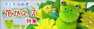 フラワーメッセージお花屋さん／キャラクターフラワーギフトの店-04-28-2025_12_10_PM