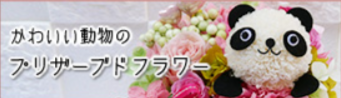 フラワーメッセージお花屋さん／キャラクターフラワーギフトの店-04-28-2025_12_13_PM
