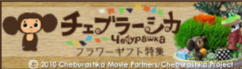 フラワーメッセージお花屋さん／キャラクターフラワーギフトの店 2-04-28-2025_12_12_PM